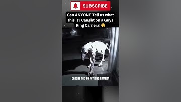 Mysterious Creature Caught on Ring Camera!? 😳 What Could It Be? #mystery  #shorts #fyp #shortsfeed