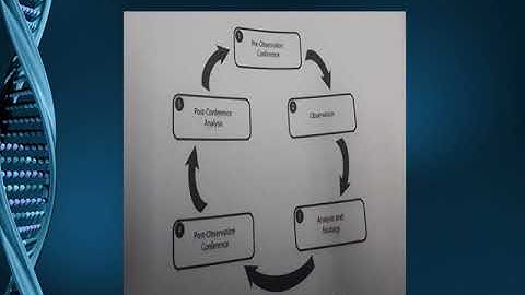 Differentiated Supervision