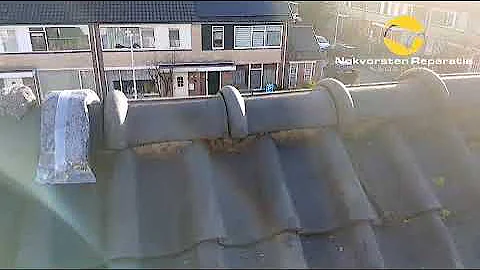 Nokvorsten Reparatie Haaren? Bereken hier direct uw kosten. Een PDF offerte IN 1 minuut!