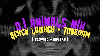 DJ ANIMALS BEKEN LOWKEY + TONEDAM slowed + reverb 