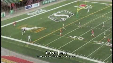 Denton Kolodzinski #71 Punter/Kicker