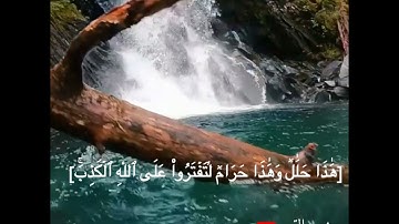 ما تيسر من سورة النحل أجمل تلاوة وأجمل صوت #فارس_عباد 🥀💞
