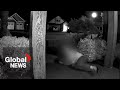 TikTok Door Knock Challenge Turns Confrontational After Homeowner Uses Tripwire To Snare Teen TikTok Door Knock Challenge Turns Confrontational After Homeowner Uses Tripwire To Snare Teen