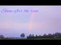 【雨上がりの輝き】Shine after the rain