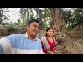 Happy Hangrai 🙏😘  tei Family emotional 🥲☹️