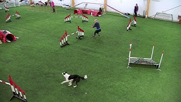 International Agility Training Week -  Tightening turns using the Reverse Spin - preview