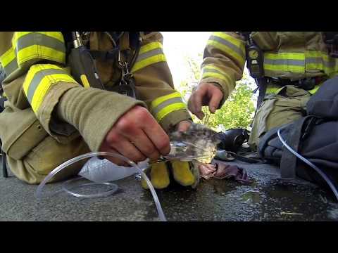 ТОП 10 Сумасшедших Видео Снятых На GOPRO