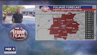 When will the leaves change color in Georgia? | FOX 5 News
