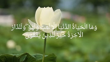 سورة الانعام | آية عظيمة من سورة الانعام