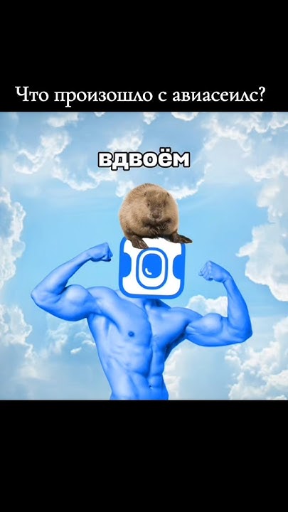 Сидим с бобром за столом, вдвоём, на ужин готовим полено #авиасеилс # ...