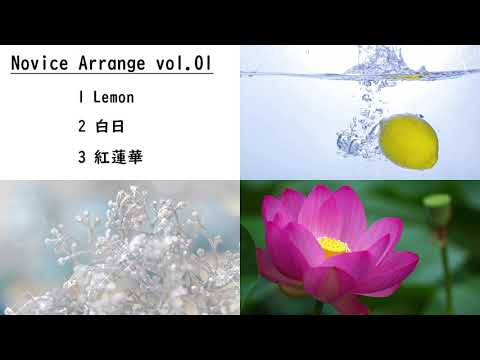 Novice Arrange（ノービス アレンジ）「Lemon」「白日」「紅蓮華」カラオケCD付楽譜 Sample