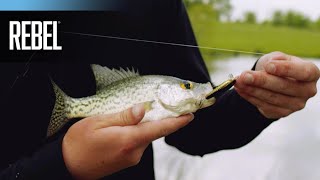 Rebel Tracdown Minnow Small Baits