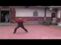 Wuzu Ershiquan 20 Fists Avi