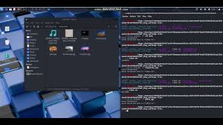 Introduction to Digital Forensics, Steganography Activity and Quiz.