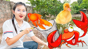 Changcady đi câu cá, chơi với các con vật dễ thương: con vịt, con cua leo cây, con bướm