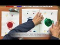 Kırmızı ve Mavi Boya Ana Renkleri Değildir!
