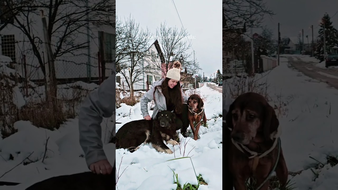 Por qué vivo en una CAMPER 🚐