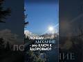 Почему дыхание это ключ к здоровью?