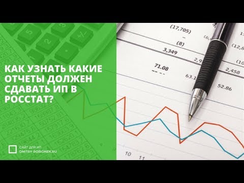 Как узнать какие отчеты должен сдавать ИП в Росстат?