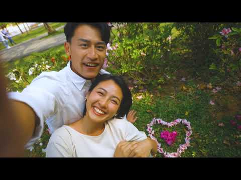 21年11月2日03 關渡秘境花海 花in臺北 走吧我們去看花 Youtube 21年11月2日03 關渡秘境花海 花in臺北 走吧我們去看花 Youtube