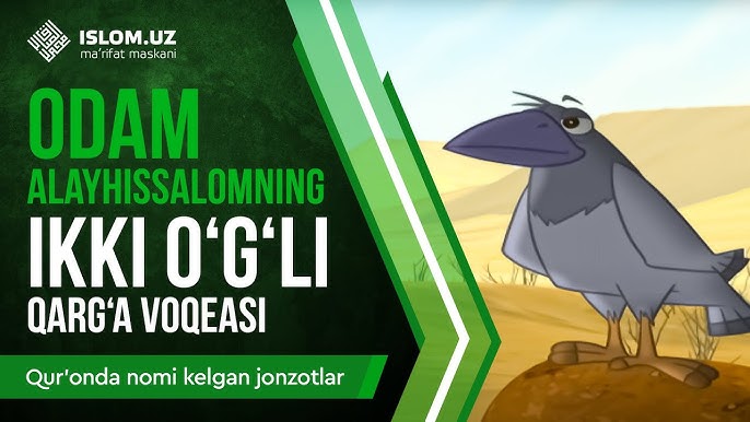 Shisha jinsiy aloqa orqasida multfilm aqldan ozgan odamlar