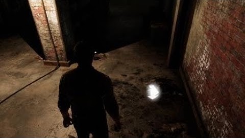 The Last of Us™ Remastered Texture Glitch