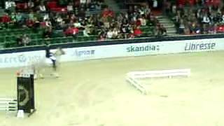 GBG HorseShow_154