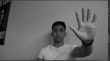 Hand Detection OpenCV Demo