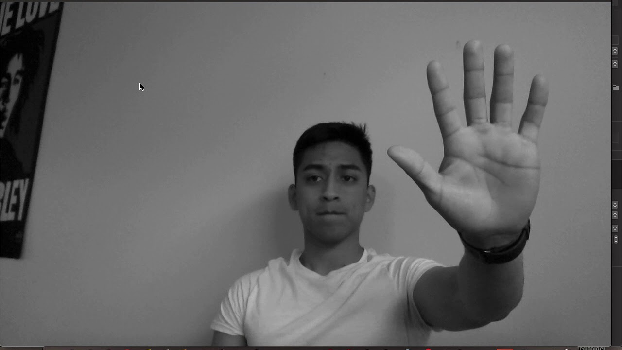 Hand Detection OpenCV Demo