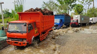 JATUH TERGULING TRUCK RC TRINTON FUSO 220PS OLENG, HINO 500 LEWAT JALUR OFROAD