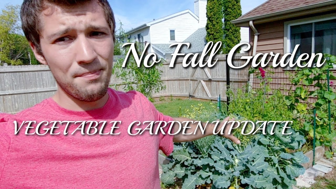 indoor plants online Why We Aren't Planting Any Late Season Crops!