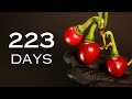 Growing cherry peppers  seed to fruit timelapse