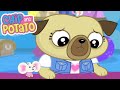 Chip Is Very Sorry! | Chip &amp; Potato | WildBrain Kids