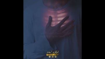 ما أصاب من مصيبة إلا بإذن الله✨ سورة التغابن:١١|رعد الكردي|At Taghaabun:11|Raad al Kurdy