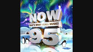 NOW That's What I Call Music! 95
