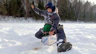 100% КПД от тренировок по спортивной мормышке. Что делать перед соревнованиями? Теория.