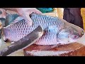 Big Rohu Fish Cutting In Fish Market | Black Pomfret And Rohu Fish Cutting Skills