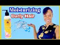 Moisturizing Curly, Low Porosity Natural Hair with Curls Dynasty Kalahari Smoothie Leave-In | Review