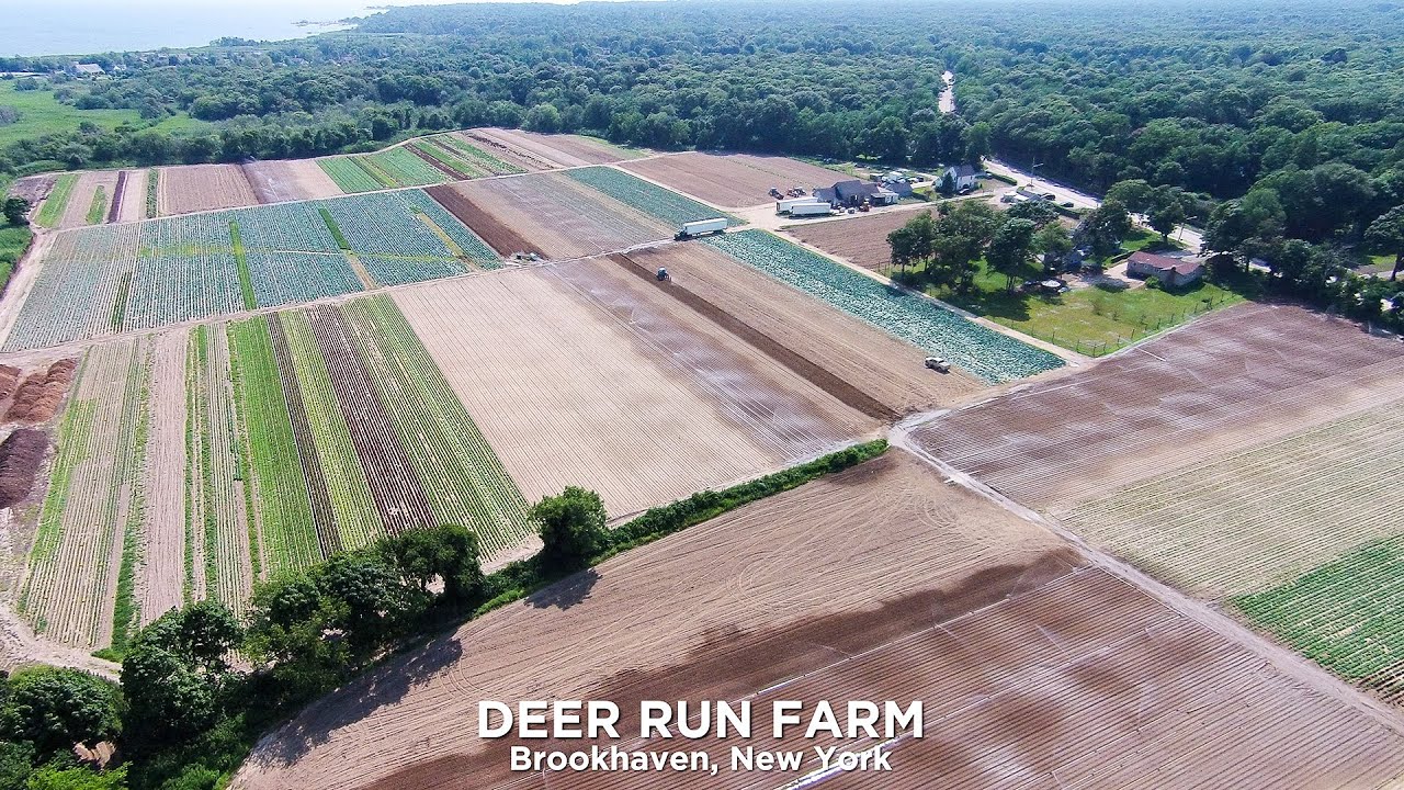 Deer Run Farm Tour 30 Acres On Long Island, New York YouTube