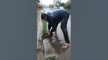 Easy Ways To Remove Grass Clogged Culvert Drain #unclog #clean #drain #shorts