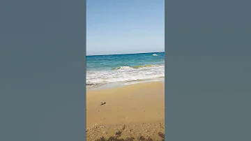 من اجمل الشواطئ بطنجة اكسبلور رب صبرو الرحمن Animals اقنباسات Nature ذواقه Goat Automobile 