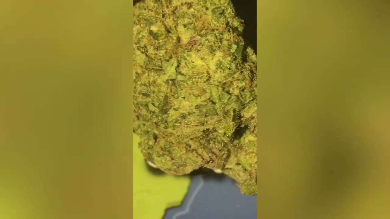 Blunicorn Strain Review (Smk Brk 420)