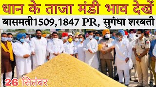 धान के रेट बासमती 1509,1847शरबती, सुगंधा,PR धान के ताजा भाव,Basmati paddy new rate.