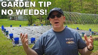 An Easier Way to Get Rid of Weeds Naturally