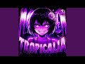 MONTAGEM TROPICALIA Super Slowed 