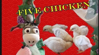 Five chicken