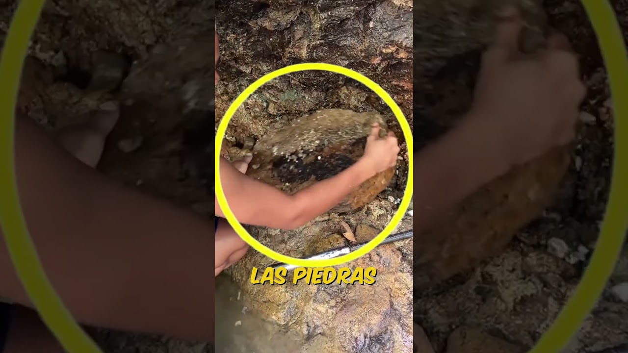 ¡Encontró oro en el río y ganó $356 en minutos!