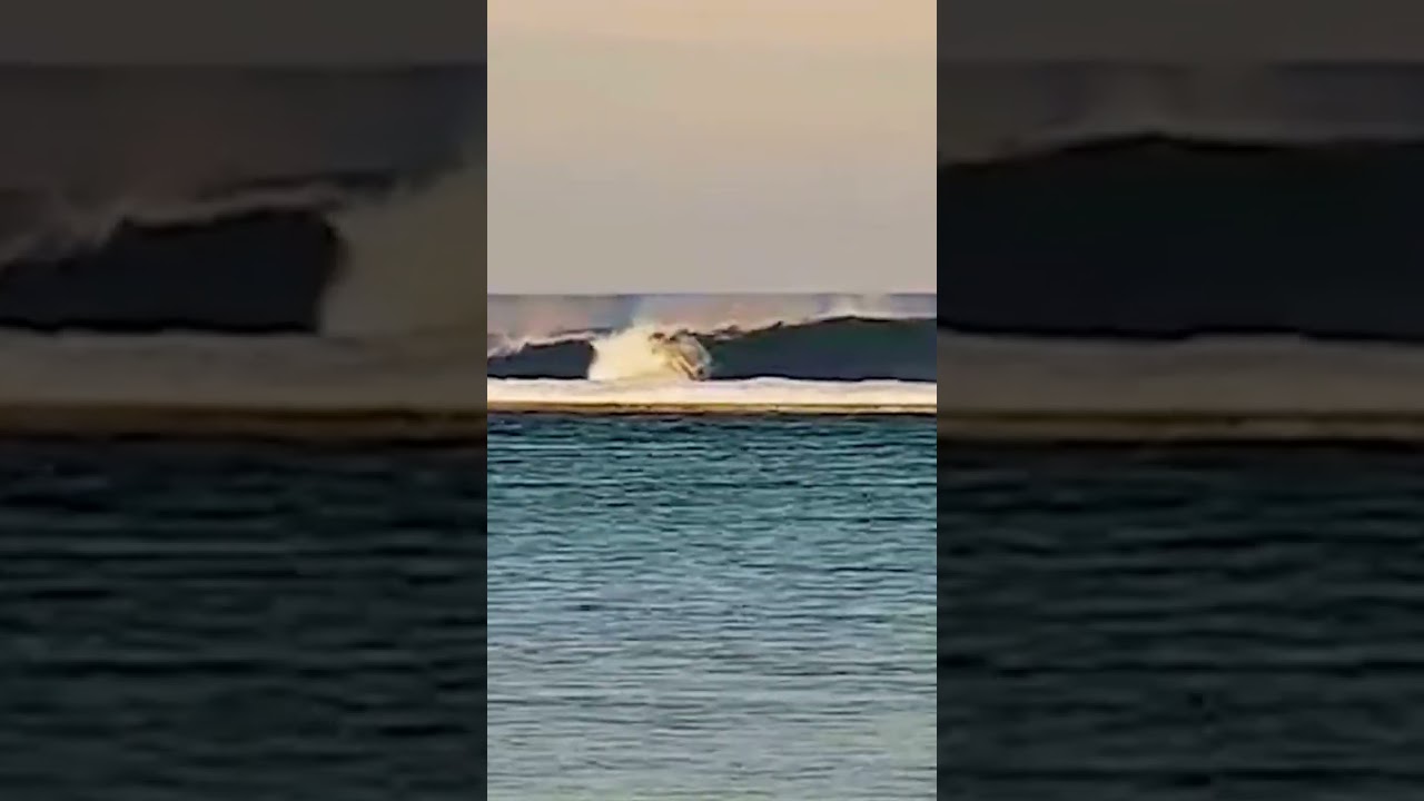Clips
