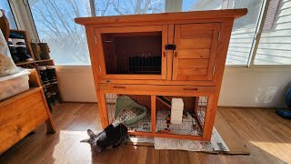 Trixie Rabbit Hutch Unboxing & Assembly