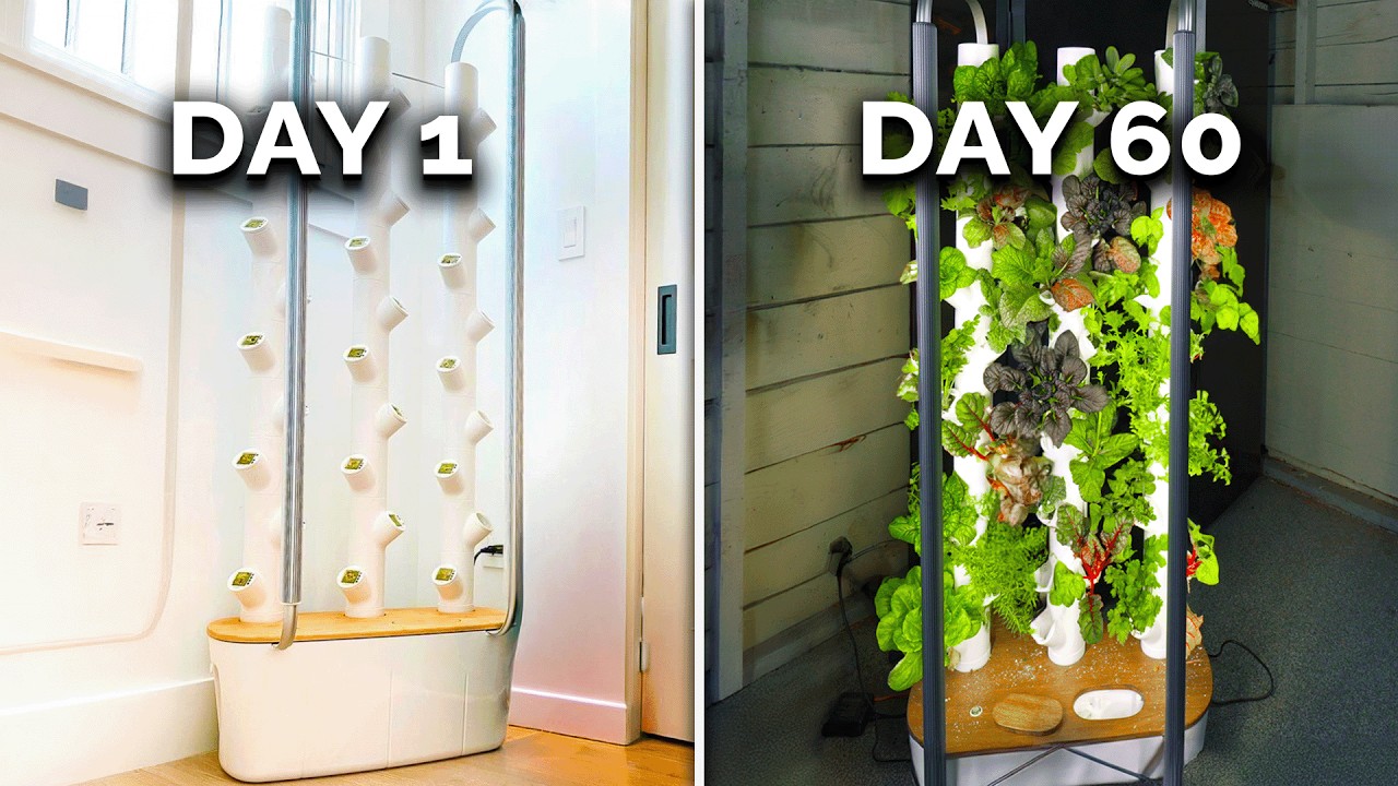 This Garden Grows Veggies Year-Round | Gardyn Review